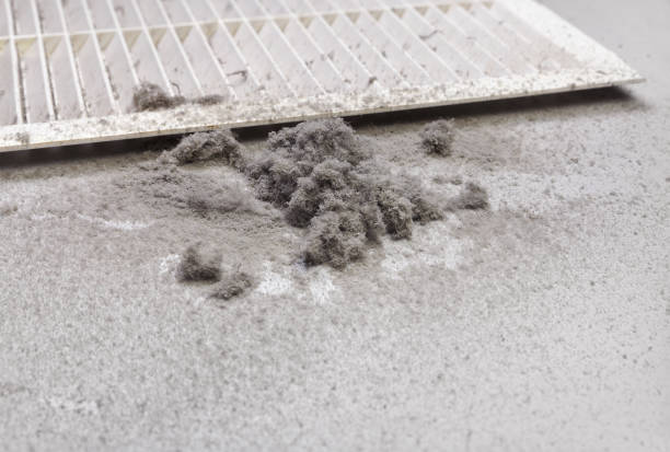 Best HVAC Duct Inspection Services  in Artesia, NM