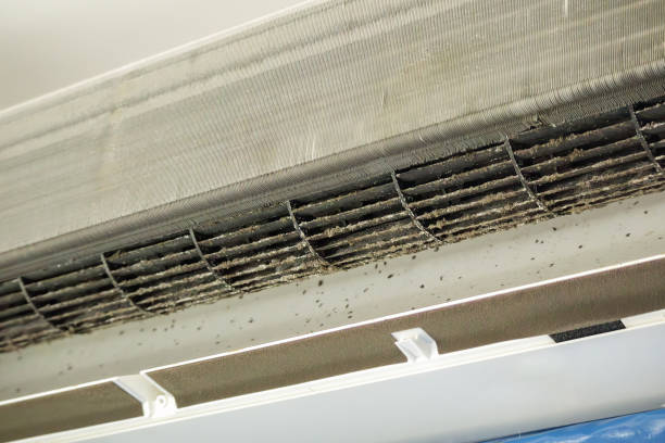 Best Ductwork Cleaning Services  in Artesia, NM